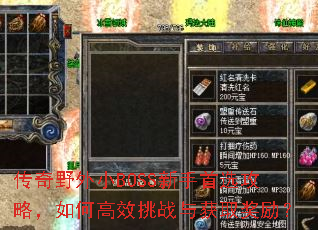 ����Ұ��СBOSS������ѡ���ԣ���θ�Ч��ս���ȡ������