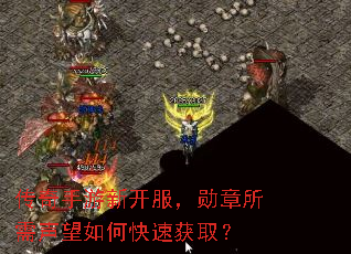 传奇手游新开服,勋章所需声望如何快速获取? 传奇手游新开服,勋章所需声望如何快速获取?