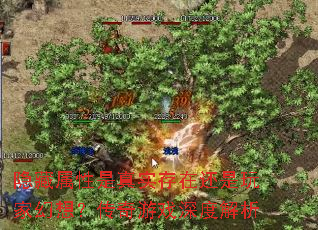 ������������ʵ���ڻ�����һ��룿������Ϸ��Ƚ���