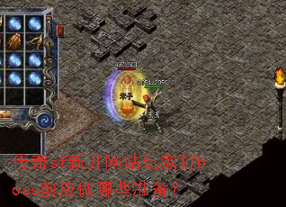 ����sf�¿���վ��Ҵ�bossǰӦ����Щ׼����