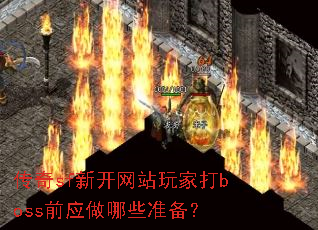 ����sf�¿���վ��Ҵ�bossǰӦ����Щ׼����