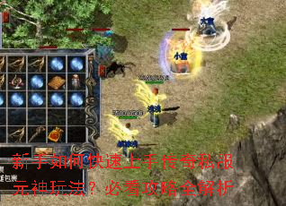 新手如何快速上手传奇私服元神玩法?必看攻略全解析 新手如何快速上手传奇私服元神玩法?必看攻略全解析