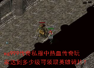 wg999传奇私服中热血传奇玩家达到多少级可领取英雄碎片? wg999传奇私服中热血传奇玩家达到多少级可领取英雄碎片?
