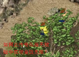 如何在传奇私服无敌版中实现金钱无限? 如何在传奇私服无敌版中实现金钱无限?