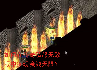 如何在传奇私服无敌版中实现金钱无限? 如何在传奇私服无敌版中实现金钱无限?