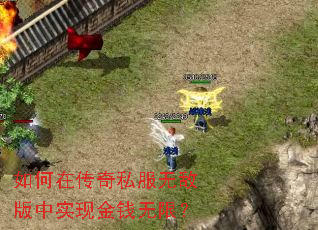 如何在传奇私服无敌版中实现金钱无限? 如何在传奇私服无敌版中实现金钱无限?