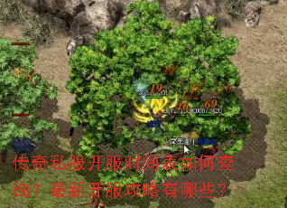 传奇私服开服时间表如何查询?最新开服攻略有哪些? 传奇私服开服时间表如何查询?最新开服攻略有哪些?