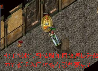 七单职业传奇私服如何快速提升战力?新手入门攻略有哪些要点? 七单职业传奇私服如何快速提升战力?新手入门攻略有哪些要点?