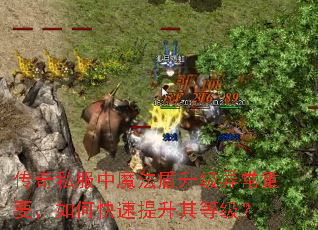 传奇私服中魔法盾升级异常重要,如何快速提升其等级? 传奇私服中魔法盾升级异常重要,如何快速提升其等级?