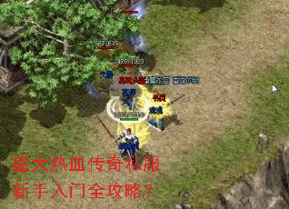 盛大热血传奇私服新手入门全攻略? 盛大热血传奇私服新手入门全攻略?