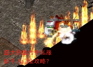 盛大热血传奇私服新手入门全攻略? 盛大热血传奇私服新手入门全攻略?