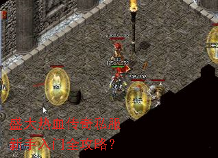 ʢ����Ѫ����˽����������ȫ���ԣ�
