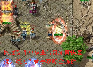 网通新开单职业传奇如何快速提升战力?新手攻略全解析 网通新开单职业传奇如何快速提升战力?新手攻略全解析