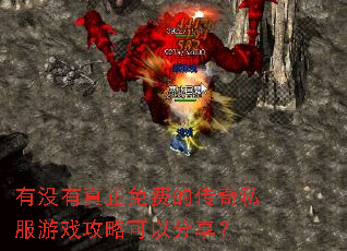 有没有真正免费的传奇私服游戏攻略可以分享? 有没有真正免费的传奇私服游戏攻略可以分享?
