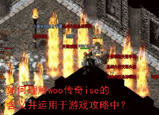 如何理解woo传奇ise的含义并运用于游戏攻略中? 如何理解woo传奇ise的含义并运用于游戏攻略中?