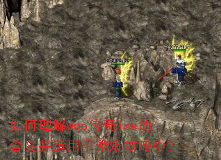 如何理解woo传奇ise的含义并运用于游戏攻略中? 如何理解woo传奇ise的含义并运用于游戏攻略中?