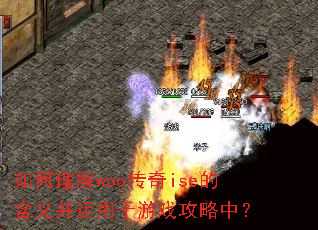 �������woo����ise�ĺ��岢��������Ϸ�����У�