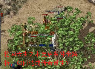 轮回天生之术复活条件全解析,如何达成传奇重生? 轮回天生之术复活条件全解析,如何达成传奇重生?