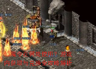 仙魔令在何处使用?游戏内获取与兑换全攻略解析 仙魔令在何处使用?游戏内获取与兑换全攻略解析