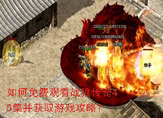 如何免费观看战狼传奇40集并获取游戏攻略? 如何免费观看战狼传奇40集并获取游戏攻略?