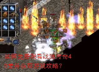 如何免费观看战狼传奇40集并获取游戏攻略? 如何免费观看战狼传奇40集并获取游戏攻略?