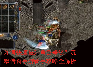 如何快速提升角色等级?沉默传奇手游新手攻略全解析 如何快速提升角色等级?沉默传奇手游新手攻略全解析