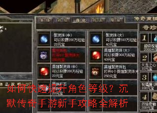 如何快速提升角色等级?沉默传奇手游新手攻略全解析 如何快速提升角色等级?沉默传奇手游新手攻略全解析