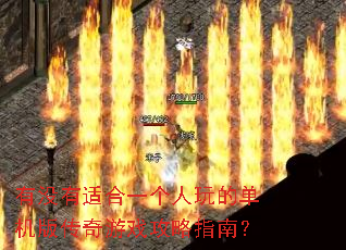 ��û���ʺ�һ������ĵ����洫����Ϸ����ָ�ϣ�