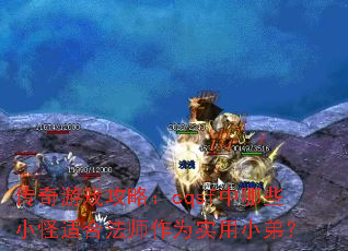 传奇游戏攻略:cqsf中哪些小怪适合法师作为实用小弟? 传奇游戏攻略:cqsf中哪些小怪适合法师作为实用小弟?