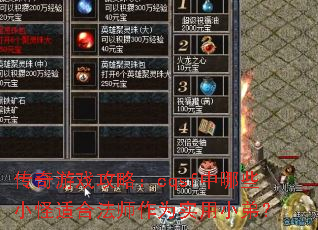 传奇游戏攻略:cqsf中哪些小怪适合法师作为实用小弟? 传奇游戏攻略:cqsf中哪些小怪适合法师作为实用小弟?