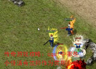 传奇游戏攻略:cqsf中哪些小怪适合法师作为实用小弟? 传奇游戏攻略:cqsf中哪些小怪适合法师作为实用小弟?