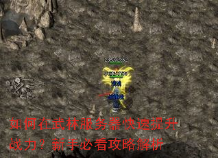 如何在武林服务器快速提升战力?新手必看攻略解析 如何在武林服务器快速提升战力?新手必看攻略解析