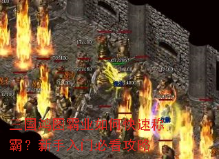三国鸿图霸业如何快速称霸?新手入门必看攻略 三国鸿图霸业如何快速称霸?新手入门必看攻略