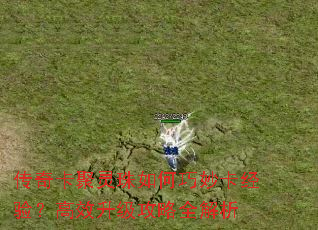 传奇卡聚灵珠如何巧妙卡经验?高效升级攻略全解析 传奇卡聚灵珠如何巧妙卡经验?高效升级攻略全解析