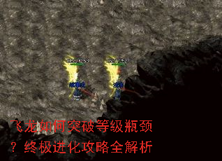 飞龙如何突破等级瓶颈?终极进化攻略全解析 飞龙如何突破等级瓶颈?终极进化攻略全解析