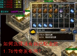 如何选择适合自己职业的1.76传奇发布网? 如何选择适合自己职业的1.76传奇发布网?