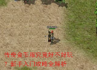 传奇金币服究竟好不好玩?新手入门攻略全解析 传奇金币服究竟好不好玩?新手入门攻略全解析