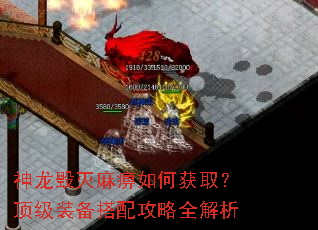 神龙毁灭麻痹如何获取?顶级装备搭配攻略全解析 神龙毁灭麻痹如何获取?顶级装备搭配攻略全解析