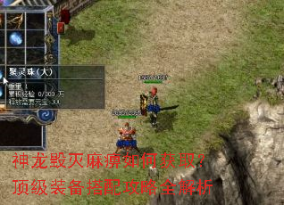 神龙毁灭麻痹如何获取?顶级装备搭配攻略全解析 神龙毁灭麻痹如何获取?顶级装备搭配攻略全解析