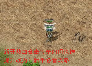 新开热血合击传奇如何快速提升战力?新手必看攻略 新开热血合击传奇如何快速提升战力?新手必看攻略