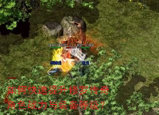 如何快速提升修罗传奇角色战力与装备等级? 如何快速提升修罗传奇角色战力与装备等级?