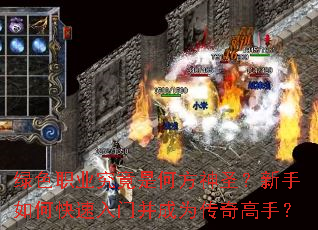 绿色职业究竟是何方神圣?新手如何快速入门并成为传奇高手? 绿色职业究竟是何方神圣?新手如何快速入门并成为传奇高手?