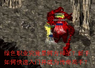 绿色职业究竟是何方神圣?新手如何快速入门并成为传奇高手? 绿色职业究竟是何方神圣?新手如何快速入门并成为传奇高手?