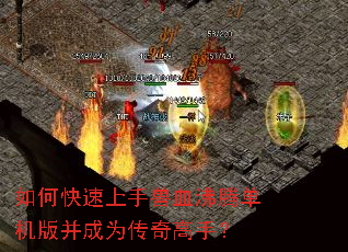 如何快速上手兽血沸腾单机版并成为传奇高手? 如何快速上手兽血沸腾单机版并成为传奇高手?